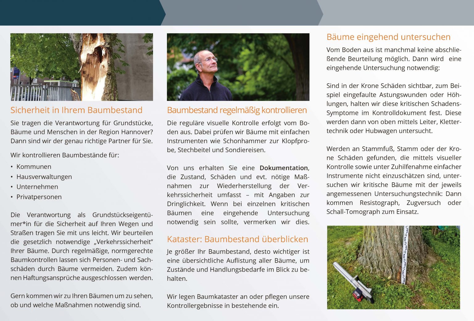 Flyer: Alles was Bäume betrifft aus einer Hand - Firma Ovens
